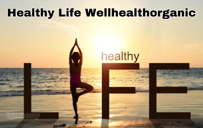 What is Healthy Life Wellhealthorganic? Complete Review