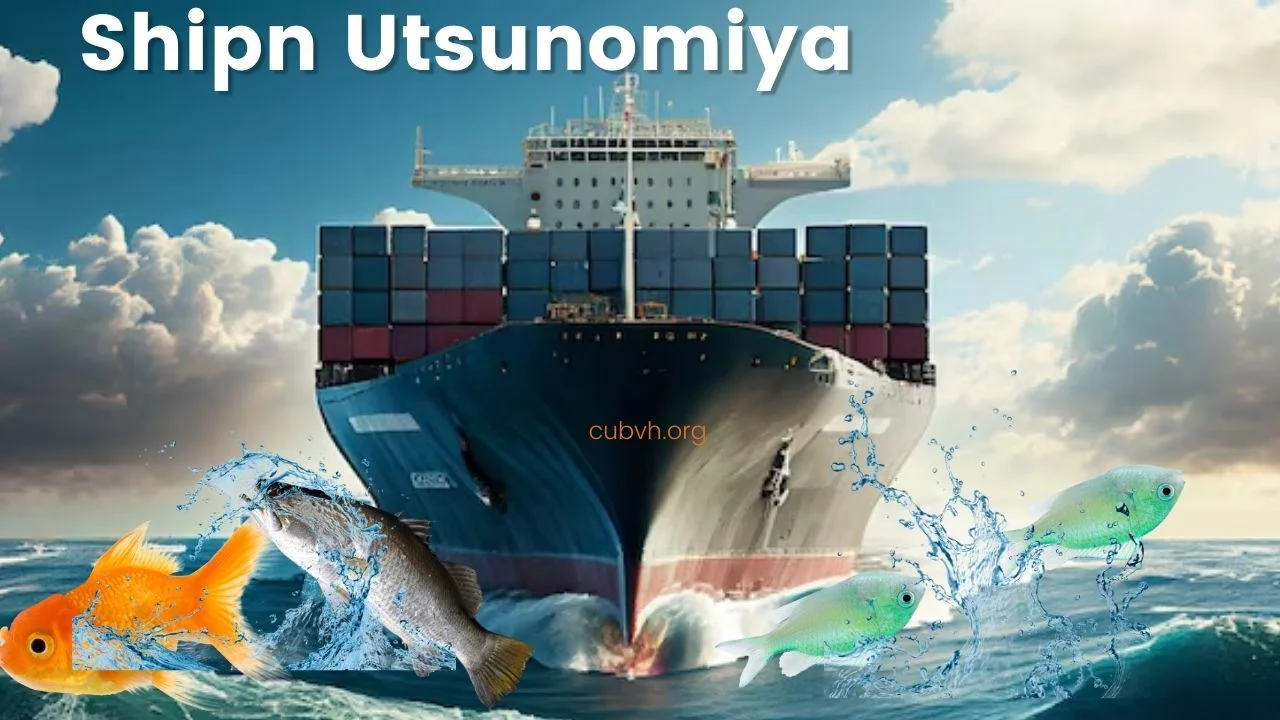 Shipn Utsunomiya: Complete Review