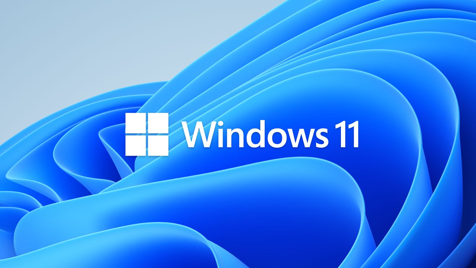 Windows 11 Insider Showings: What’s in the Latest Build?